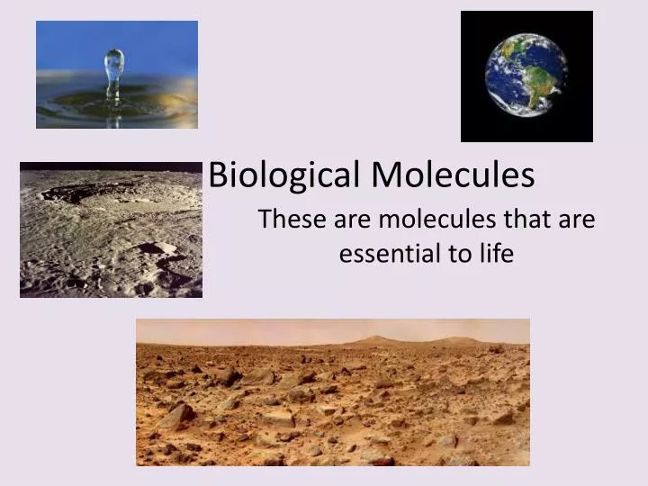 biological molecules