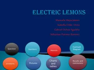 ELECTRIC LEMONS