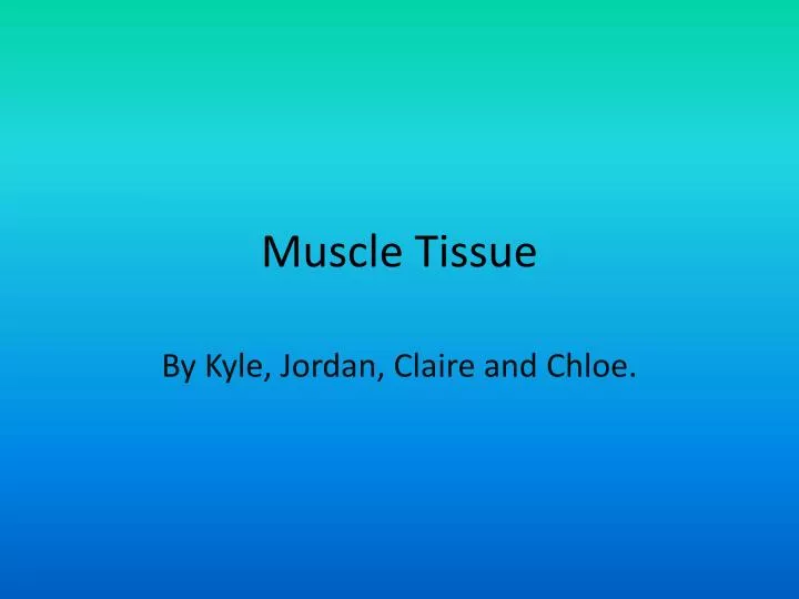 muscle tissue