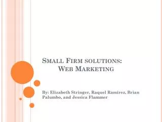 Small Firm solutions: 	Web Marketing