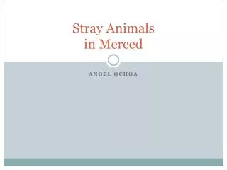 Stray Animals in Merced