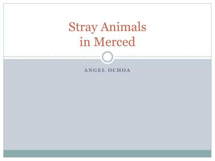 stray animals in merced