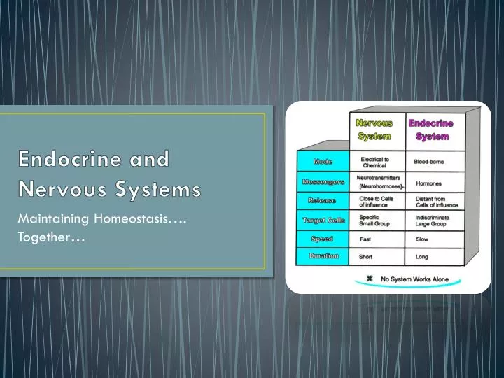 endocrine and nervous systems