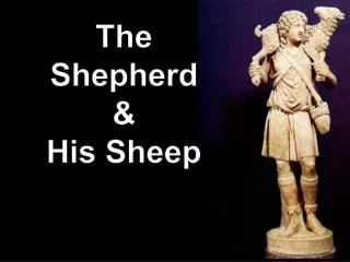 The Shepherd &amp; His Sheep