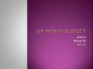 Six Month Budget