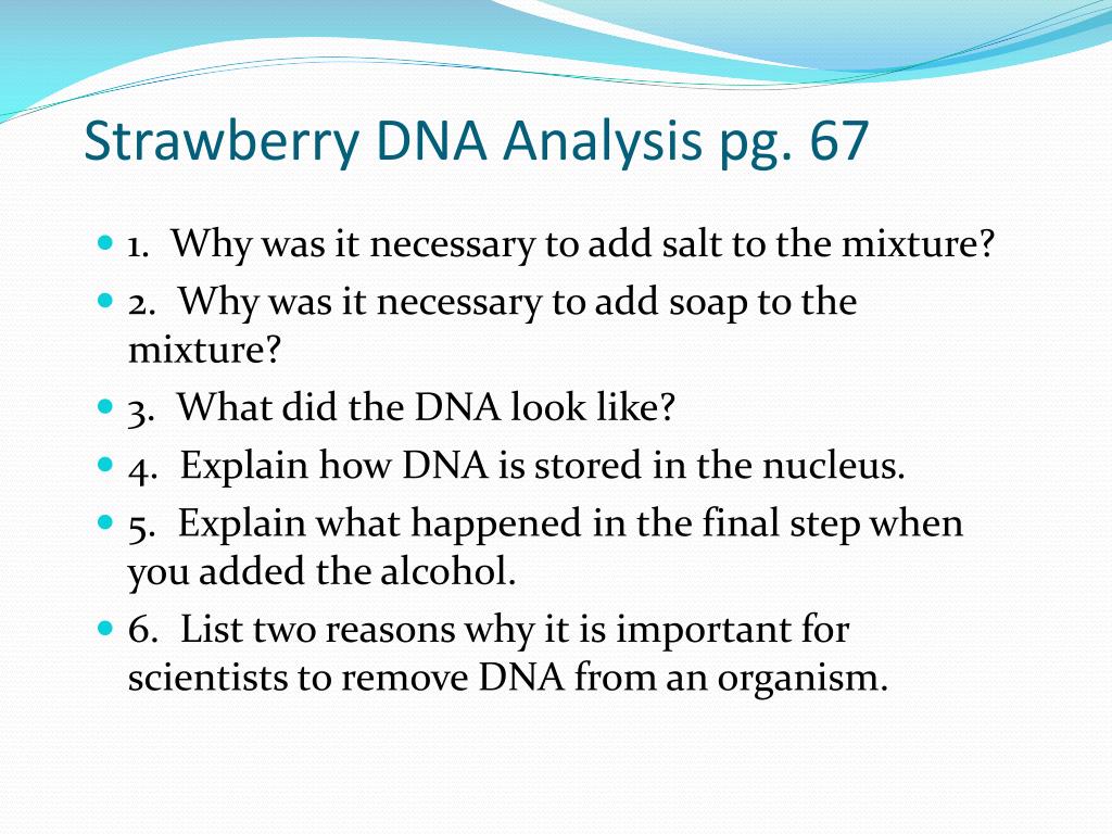 Strawberry Dna Codeing PPT - Understanding Strawberry DNA Extraction: A Step-by-Step Guide ...