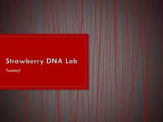 Strawberry DNA Lab