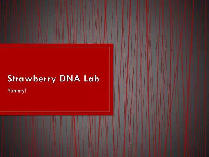 strawberry dna lab