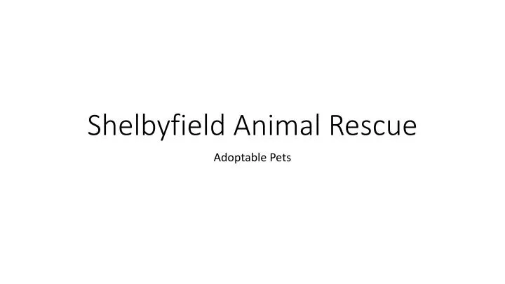 shelbyfield animal rescue