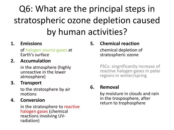q6 what are the principal steps in stratospheric ozone depletion caused by human activities