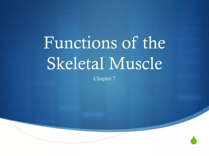 functions of the skeletal muscle