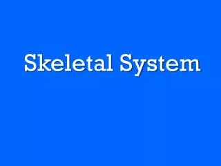 Skeletal System