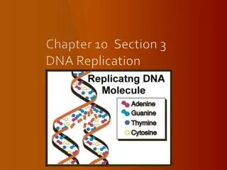 Chapter 10	Section 3 DNA Replication