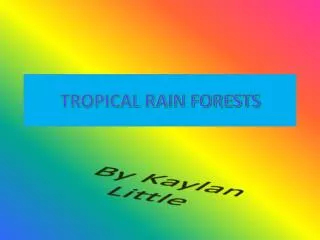TROPICAL RAIN FORESTS