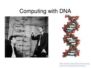 Computing with DNA