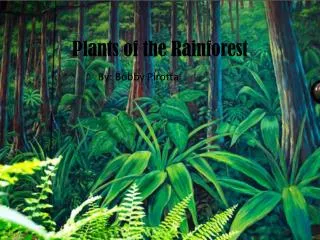 Plants of the Rainforest