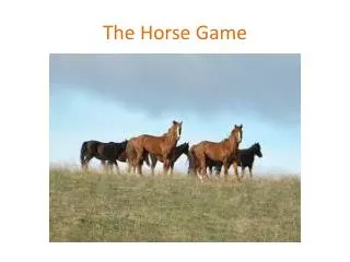 The Horse Game