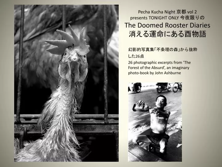 pecha kucha night vol 2 presents tonight only the doomed rooster diaries