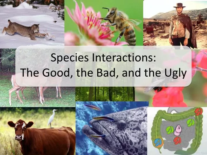species interactions the good the bad and the ugly