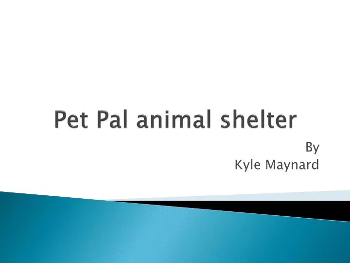 pet pal animal shelter