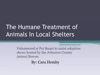 The Humane Treatment of Animals In Local Shelters
