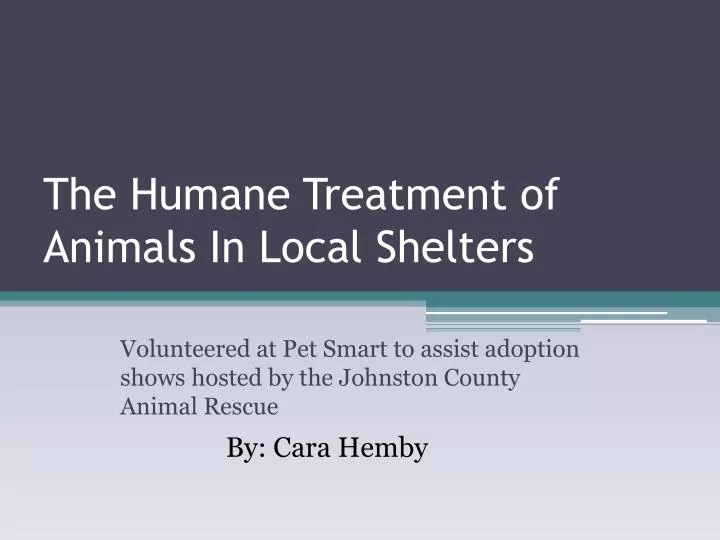 the humane treatment of animals in local shelters