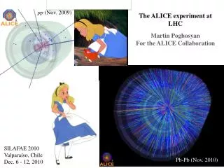 The ALICE experiment at LHC Martin Poghosyan For the ALICE Collaboration