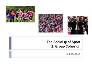 The Social ? of Sport 1. Group Cohesion