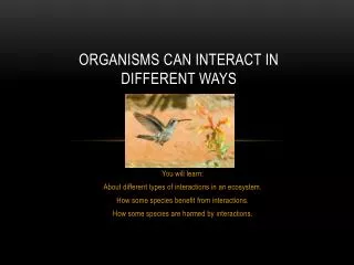 Organisms Can Interact in Different Ways