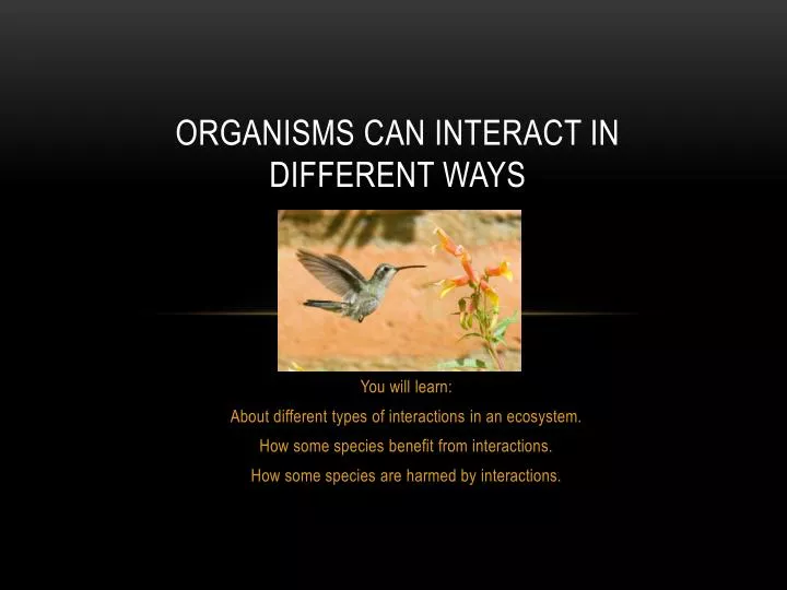 organisms can interact in different ways
