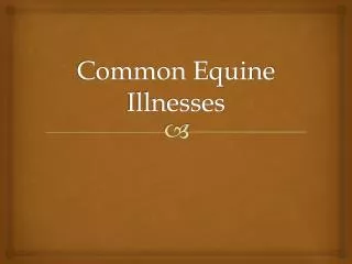 Common Equine Illnesses