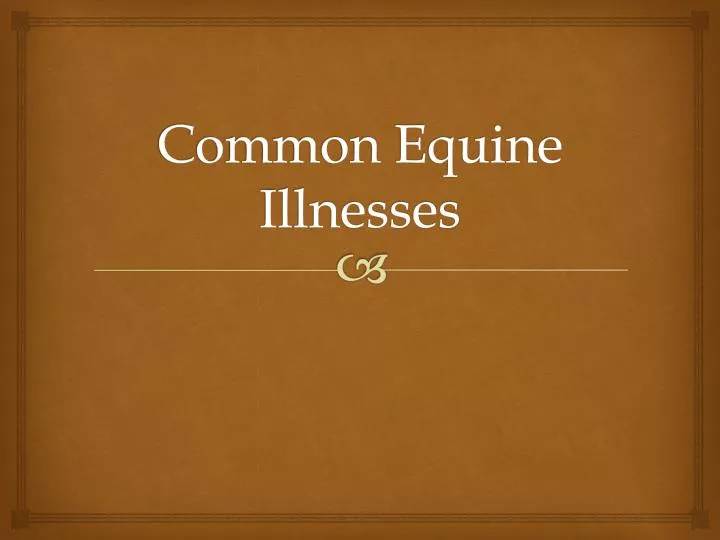 common equine illnesses