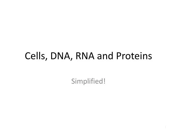 cells dna rna and proteins