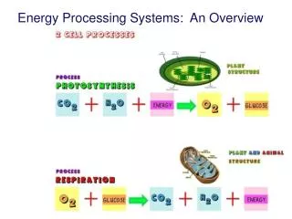 Energy Processing Systems: An Overview