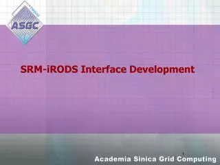 SRM-iRODS Interface Development