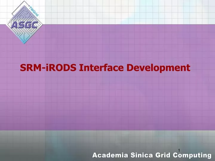 srm irods interface development