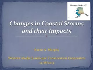 Changes in Coastal Storms and their Impacts