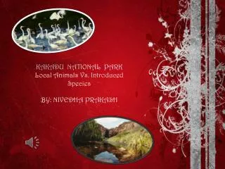 KAKADU NATIONAL PARK Local Animals Vs. Introduced Species BY: NIVEDHA PRAKASH