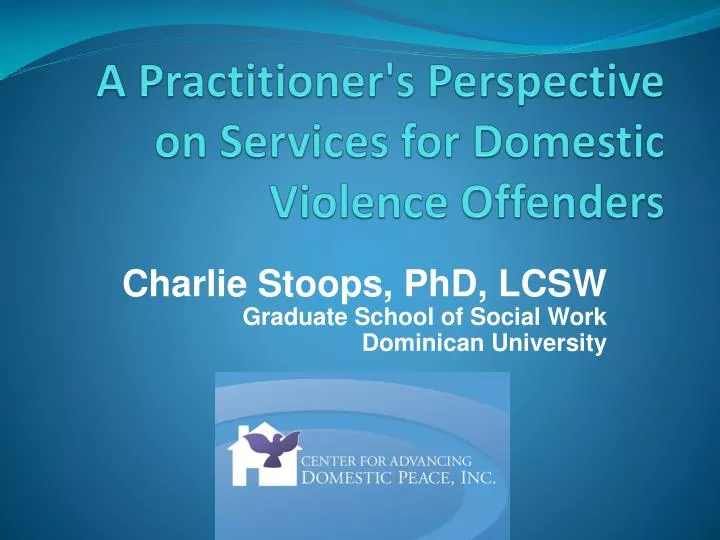 a practitioner s perspective on services for domestic violence offenders