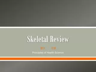 Skeletal Review