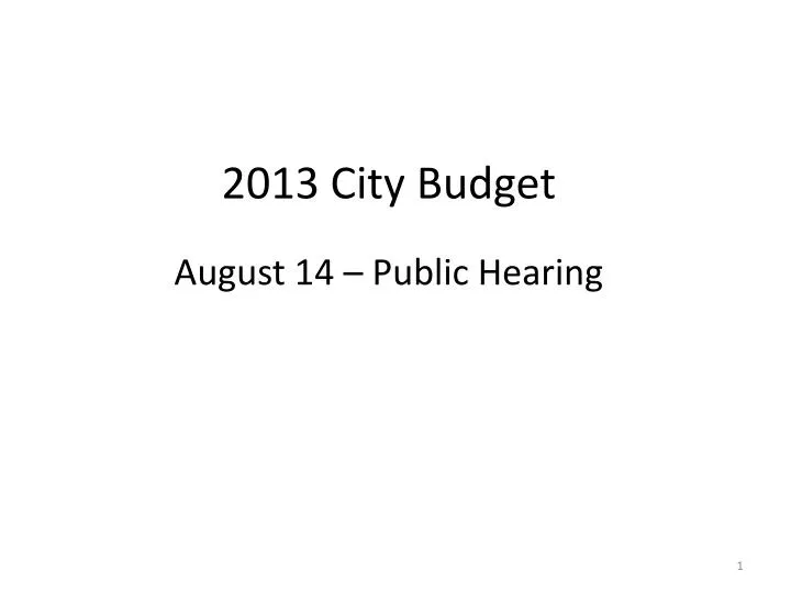 2013 city budget