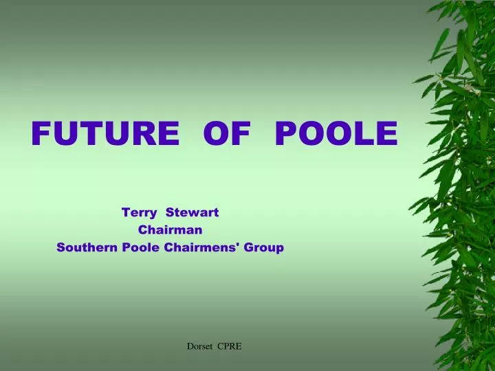 future of poole terry stewart chairman southern poole chairmens group