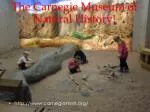 The Carnegie Museum of Natural History!