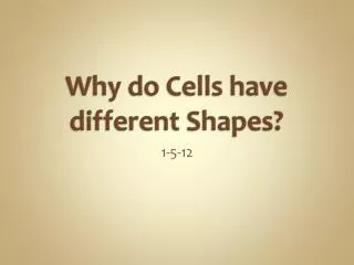 Why do Cells have different Shapes?