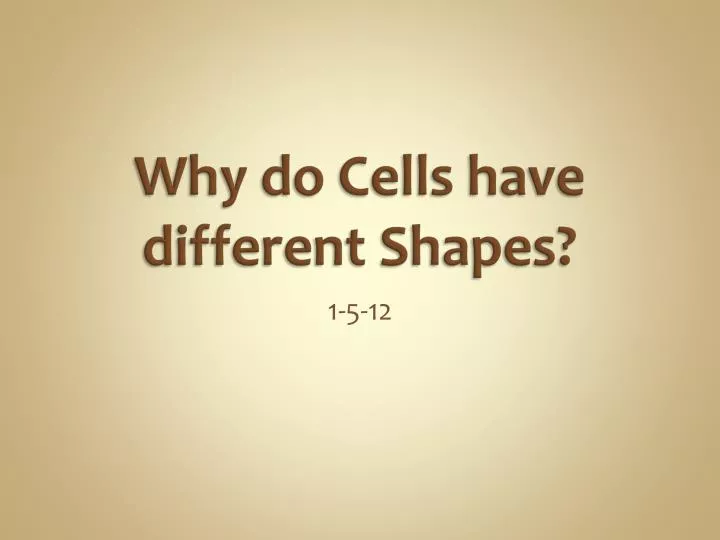 why do cells have different shapes