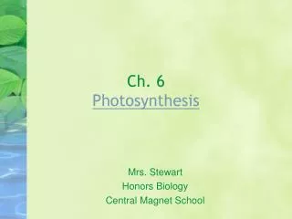 Ch. 6 Photosynthesis