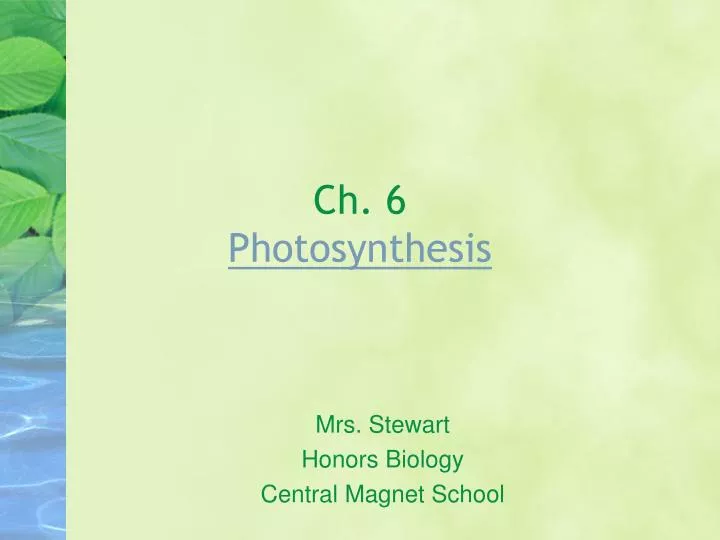 ch 6 photosynthesis