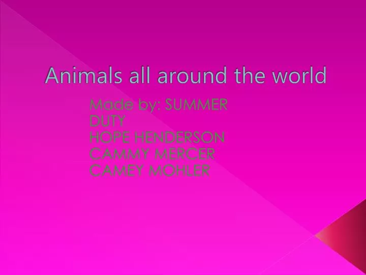 animals all around the world