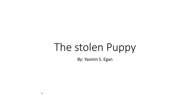 the stolen puppy
