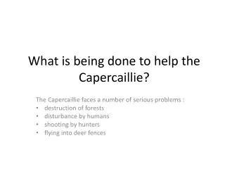 What is being done to help the Capercaillie ?